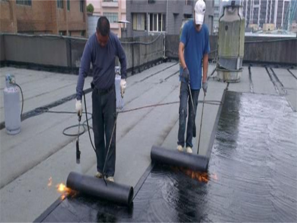 ������������С��8��ƽ�׷�ˮ������Ŀ